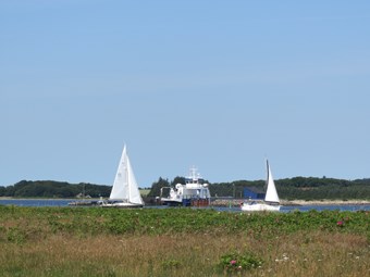 Venø